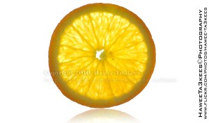 D90_20101110_4827DSC_8527 copy