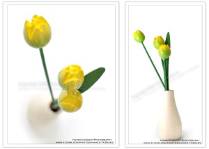 D90_20101211_5899DSC_9650 copy