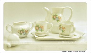 DSC_1651 copy crop3399