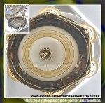 P365_1_3_2011_D10_WP