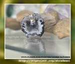 P365_27_2_2011_D8_WP