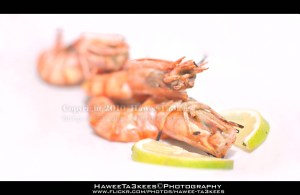 D90_20101111_4751DSC_8554 copy