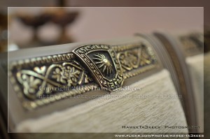 DSC_0493 copy_frame 5