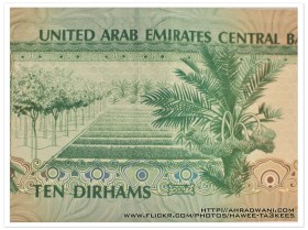 DSC_3458 copy_ok_10D