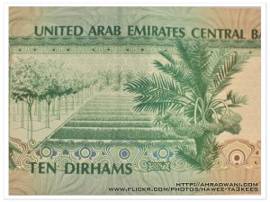 DSC_3458 copy_ok_10D