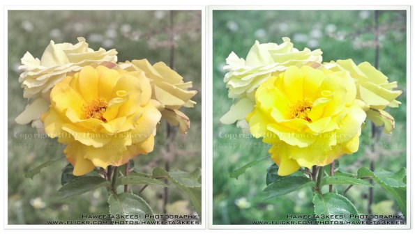 green filter - before and after