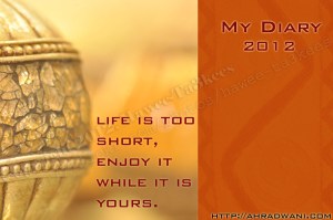 DSC_2168_card copy_2wp_diary