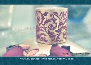 DSC_3320 copy_wp_ok_3