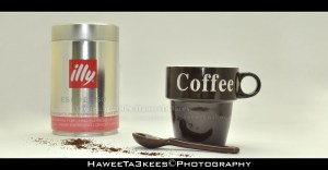 D90_20100506_0662DSC_4046 copy