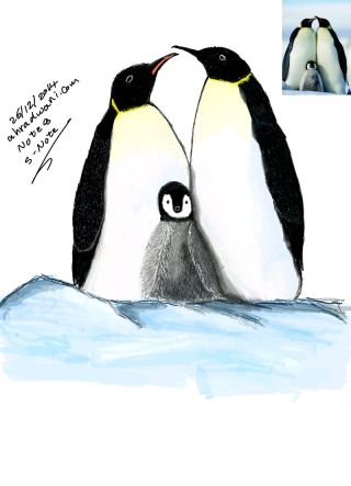 Penguin_20141226__01