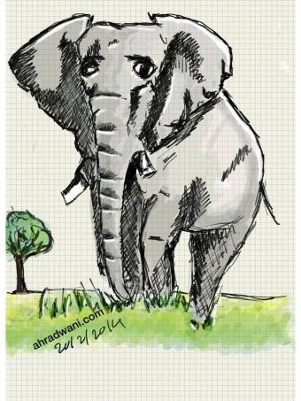 sketch_elephant