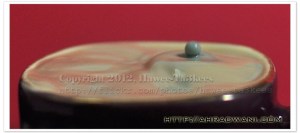 DSC_9110- Blue Pearl