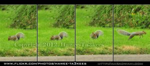 D90_20120916_7867DSC_0276 copy