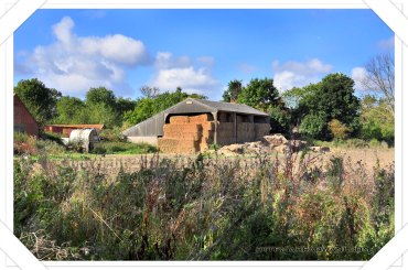 D90_20120919_8153DSC_0562 copy