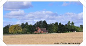 D90_20120919_8160DSC_0569 copy