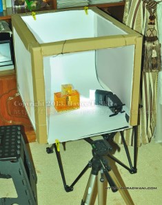 DSC_2576 copy_studio