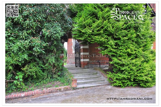 D90_20120919_8265DSC_0677 copy