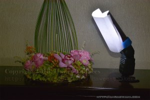 DSC_4312 copy_lightstudio_1