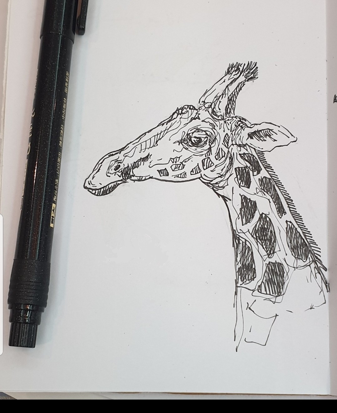 Ali radwani drawing giraffe sketch challenge 1hour1sketch pen pencil 