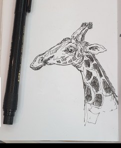 Ali radwani drawing giraffe sketch challenge 1hour1sketch pen pencil 