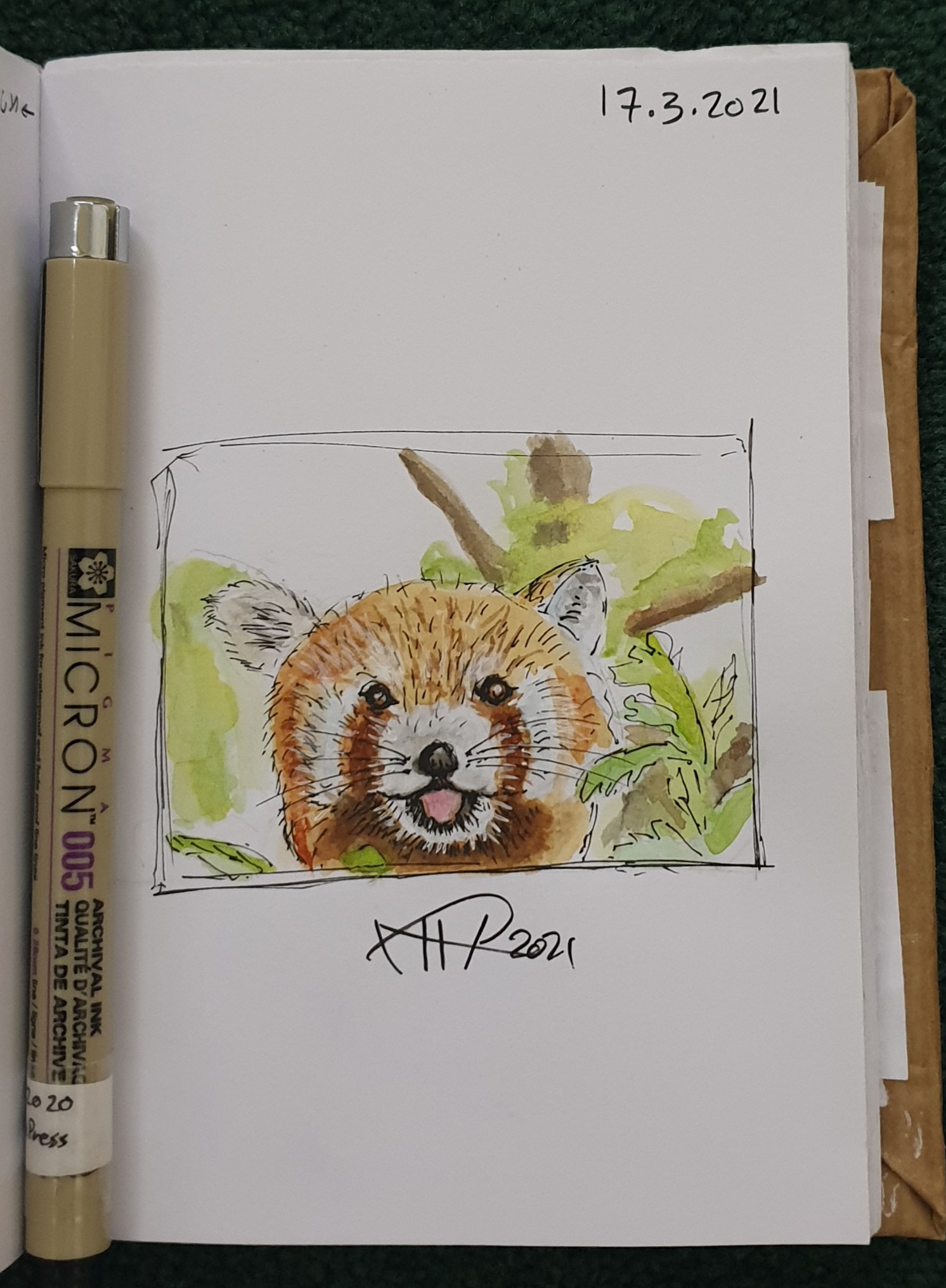 Ali radwani drawing sketch challenge pen pencil Coloring watercolor 1hour1sketch