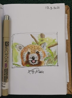 Ali radwani drawing sketch challenge pen pencil Coloring watercolor 1hour1sketch