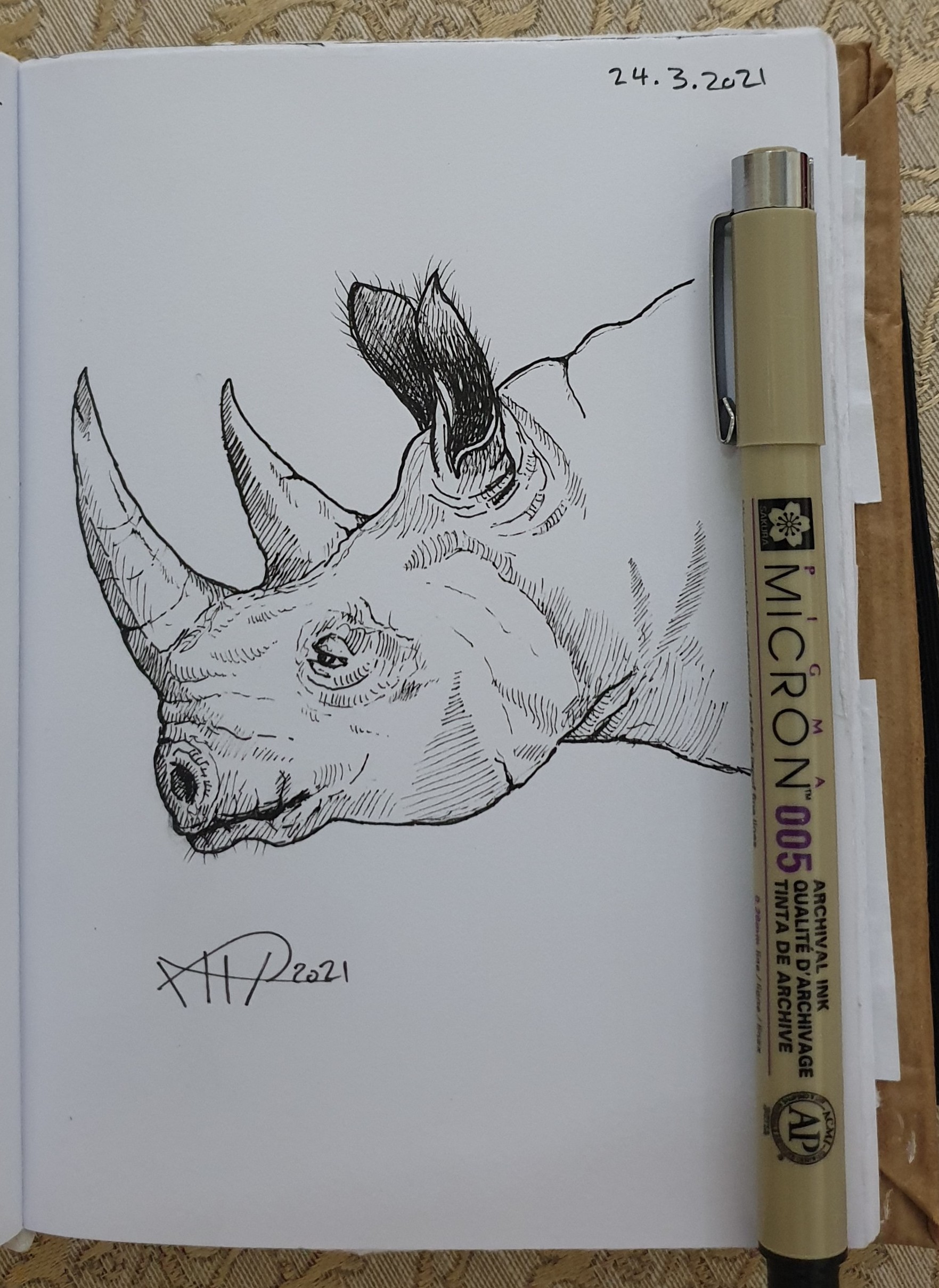 ali radwani sketchbook sketch rhion animal pencil black ink pen