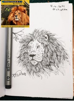 ali radwani sketchbook sketch lion face pencil black pen 