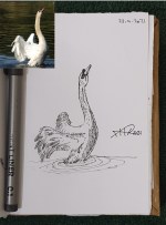 ali radwani draw sketch pen pencil swan lake 