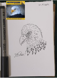 sketch of egal eye, face by ali radwani ahradwani.com black pen pencil