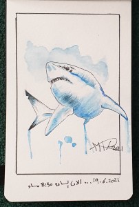 Ali radwani drawing sketch shark watercolor sketches sketchbook
