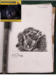 ali radwani sketch doha pen pencil sketchbook