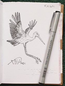 Ali radwani drawing sketch challenge pen pencil