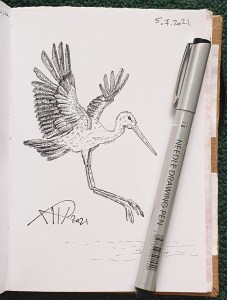 Ali radwani drawing sketch challenge pen pencil