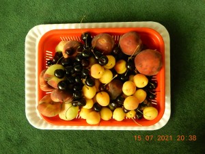 Furit basket nikon S9900 camera by Ali radwani, sample image