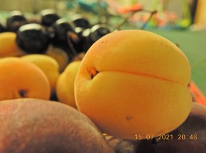 ali nikon s9900 macro shot fruit