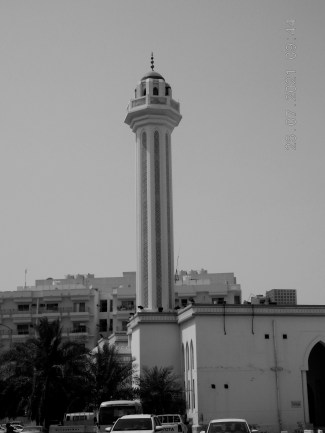 ali radwani photo nikon nikor cmera coolpix s9900 