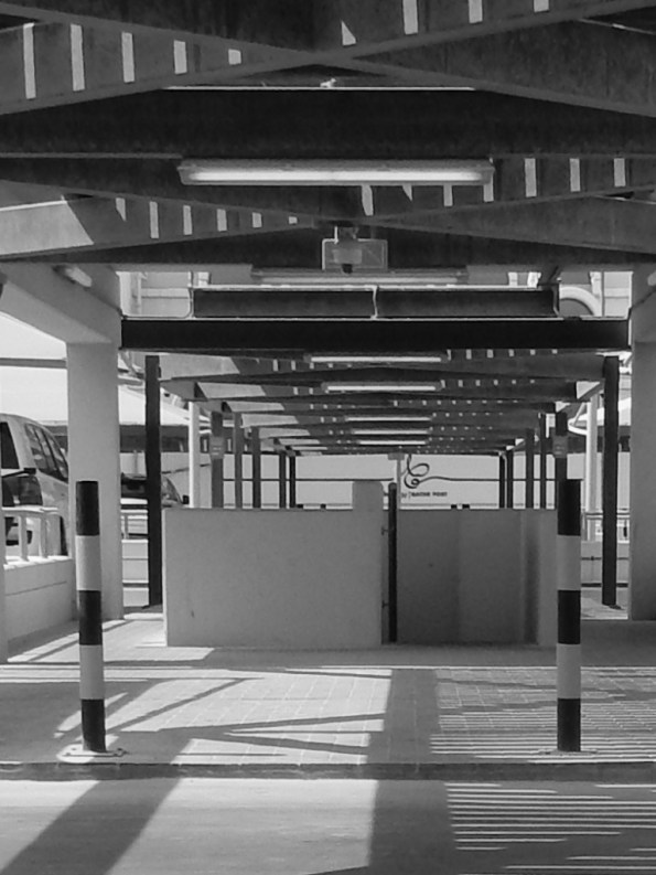 Ali radwani photo Photography camera Nikon s9900