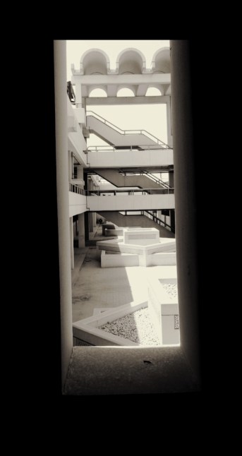 photo photography ali radwani nikon nikkor S9900