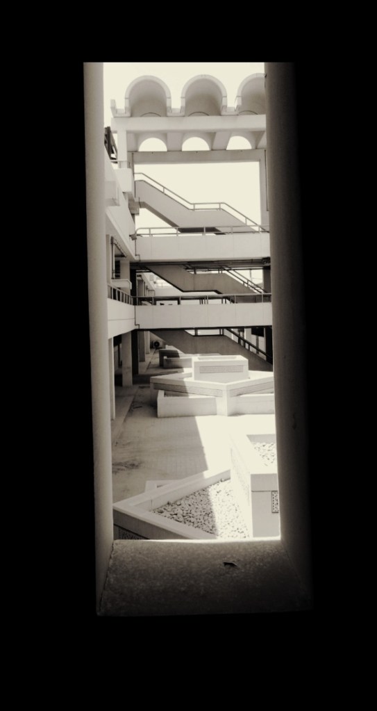 photo photography ali radwani nikon nikkor S9900