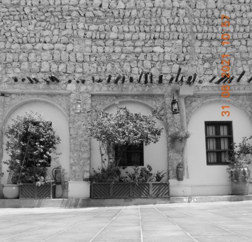 Doha Qata photo photography Nikon s9900 ali radwani ahradwani.com