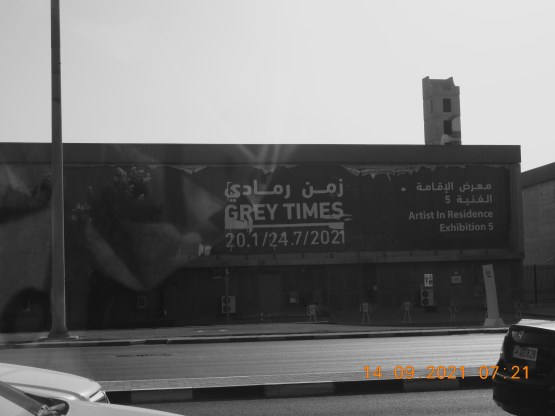 ali radwani photography photo nikon camera s9900 doha qatar ahradwani.com 