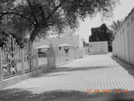 ali radwani ahradwani.com photo photography Nikon coolpix camera s9900 lens