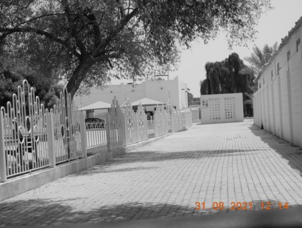 ali radwani ahradwani.com photo photography Nikon coolpix camera s9900 lens