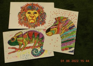 ali radwani ahradwani.com photo photography Nikon coolpix camera s9900 lens