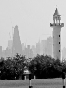 ali radwani ahradwani.com photo photography Nikon coolpix camera s9900 lens