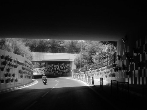 photo qatar nikon s9900 ali radwani sample image