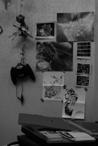 Fujifilm Camera X-T30ii Film Simulation Qatar Ali Radwani Photography