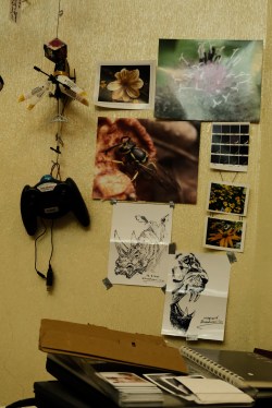 Fujifilm Camera X-T30ii Film Simulation Qatar Ali Radwani Photography