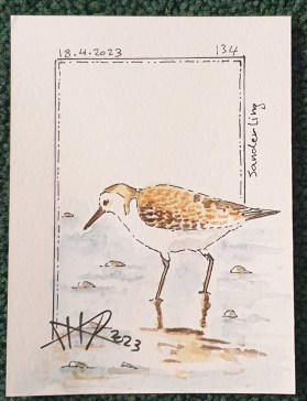 ali radwani doha qatar sketch sketchbook watercolor water color drawing skills